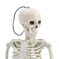 40cm Skeleton Car Ornament