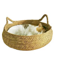 Four Seasons Handmade Vine Woven Cat Nest